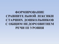 ФОРМИРОВАНИЕ СРАВНИТЕЛЬНОЙ ЛЕКСИКИ СТАРШИХ ДОШКОЛЬНИКОВ С ОБЩИМ НЕДОРОЗВИТИЕМ РЕЧИ III УРОВНЯ статья по логопедии по теме