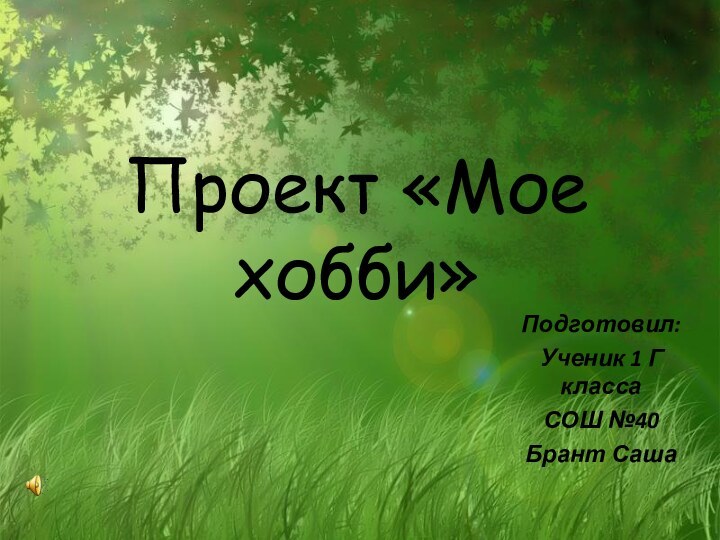 Проект «Мое хобби»Подготовил:Ученик 1 Г классаСОШ №40Брант Саша