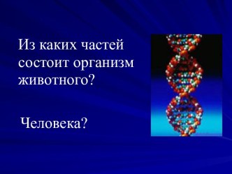 Конспект урока Кожа -пограничник организма 4 класс ОС Школа 2100 план-конспект урока по окружающему миру (4 класс) по теме