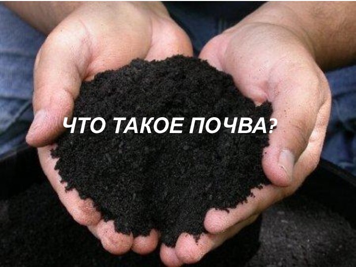 ЧТО ТАКОЕ ПОЧВА?