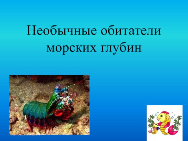 Необычные обитатели морских глубинFokinaLida.75@mail.ru