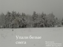 Презентация Упали белые снега материал (младшая группа)