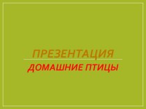 Конспект фронтального занятия по развитию речи в старшей логопедической группе по теме Домашние птицы план-конспект занятия по логопедии (старшая группа)