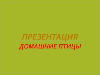 Конспект фронтального занятия по развитию речи в старшей логопедической группе по теме Домашние птицы план-конспект занятия по логопедии (старшая группа)