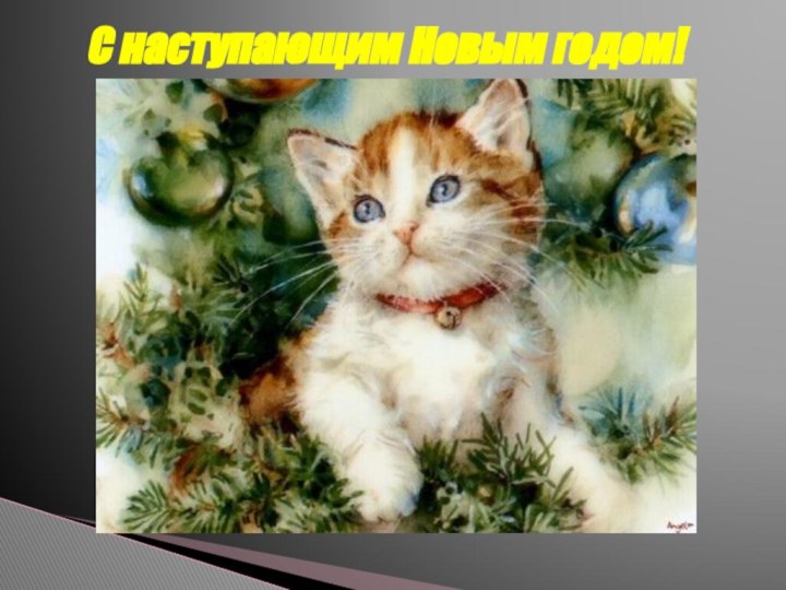 С наступающим Новым годом!