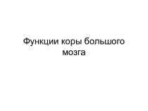 Функции коры головного мозга. презентация к уроку по логопедии