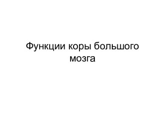 Функции коры головного мозга. презентация к уроку по логопедии