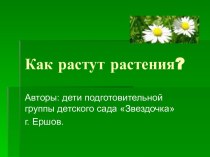 Презентация Как растут растения презентация занятия для интерактивной доски (окружающий мир, подготовительная группа)