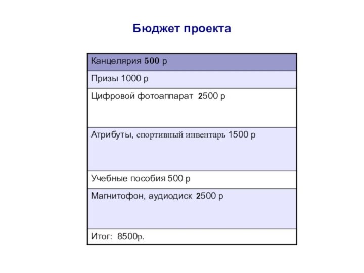 Бюджет проекта