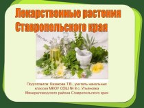 Презентация Лекарственные растения Ставропольского края презентация к уроку по окружающему миру