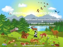 Животные нашего леса презентация урока для интерактивной доски (подготовительная группа)