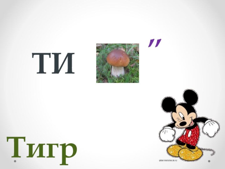 ТИ,,Тигр