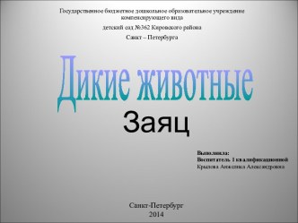 Презентация Заяц младшая группа презентация к уроку по окружающему миру (младшая группа)