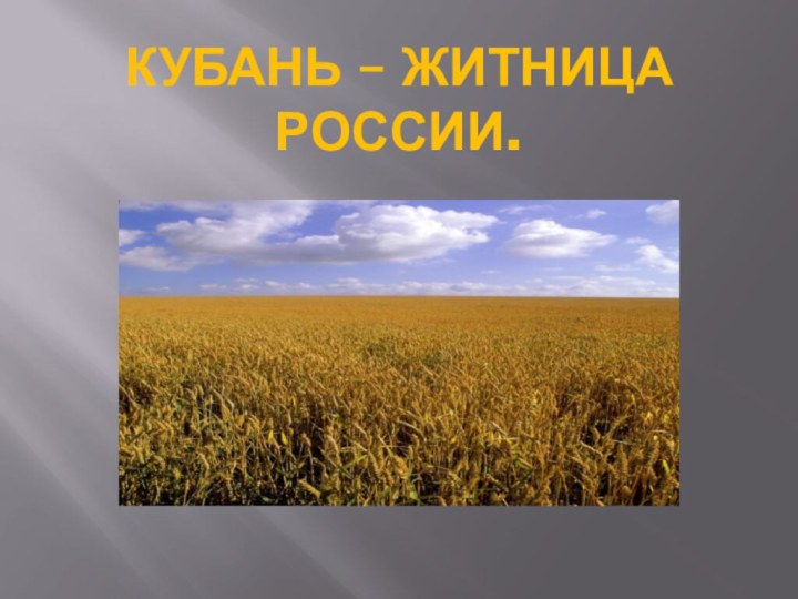 КУБАНЬ – ЖИТНИЦА РОССИИ.