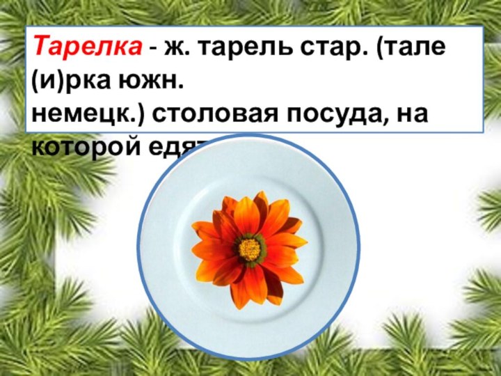 Тарелка - ж. тарель стар. (тале(и)рка южн. немецк.) столовая посуда, на которой едят.