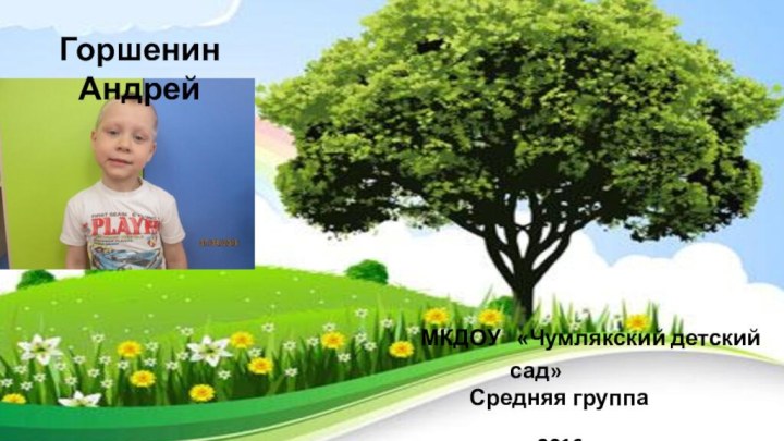 МКДОУ  «Чумлякский детский сад»