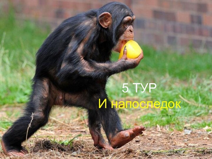 5 ТУРИ напоследок