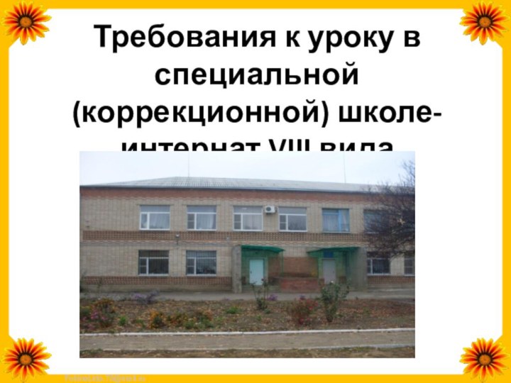 Требования к уроку в специальной (коррекционной) школе- интернат VIII вида