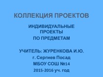 Коллекция проектов презентация к уроку по технологии