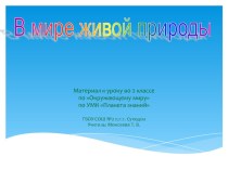 Презентация В мире живой природы. На опушке леса презентация к уроку по окружающему миру (2 класс)