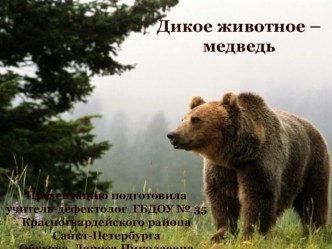 Презентация по теме Дикие животные Медведь. презентация по окружающему миру