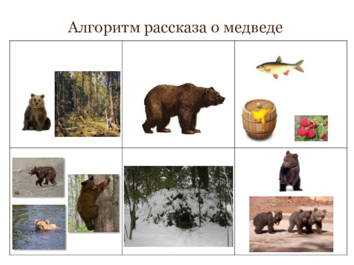 Алгоритм рассказа о медведе
