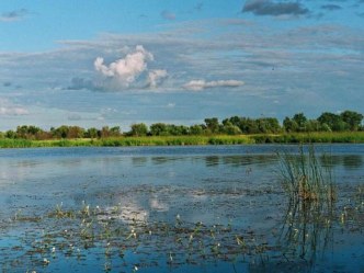 Хинганский заповедник - жемчужина Амурской области план-конспект занятия по окружающему миру (подготовительная группа)