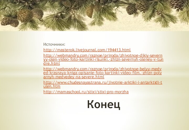 КонецИсточники: http://masterok.livejournal.com/194413.htmlhttp://webmandry.com/raznoe/priroda/zhivotnoe-dikiy-severnyy-olen-video-foto-kartinki-risunki.-zhizn-severnyh-oleney-v-tundre.htmlhttp://webmandry.com/raznoe/priroda/zhivotnoe-belyy-medved-krasnaya-kniga-opisanie-foto-kartinki-video-film.-zhizn-polyarnyh-medvedey-na-severe.htmlhttp://www.chudesnayastrana.ru/jivotnie-arktiki-i-antarktidi-tulen.htmhttp://mamaschool.ru/stixi/stixi-pro-morzha