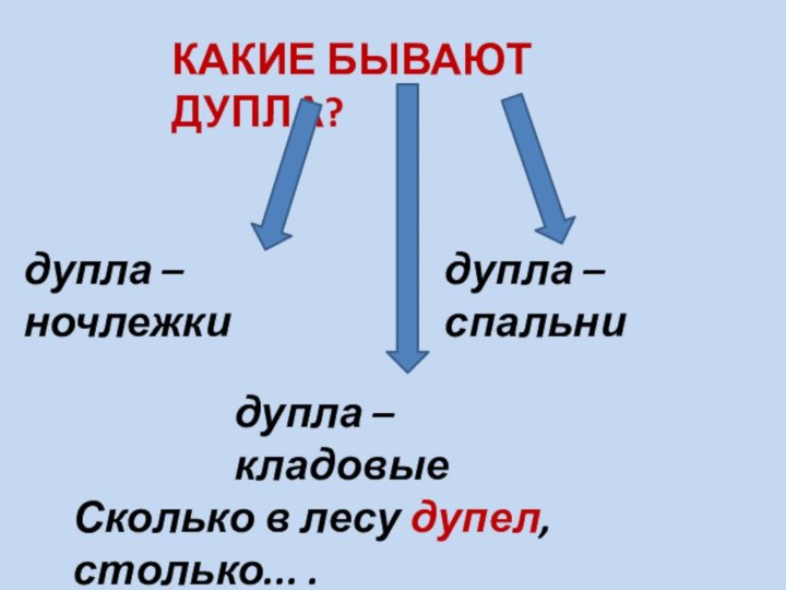 КАКИЕ БЫВАЮТ ДУПЛА?дупла – ночлежкидупла – кладовыедупла – спальниСколько в лесу дупел, столько... .