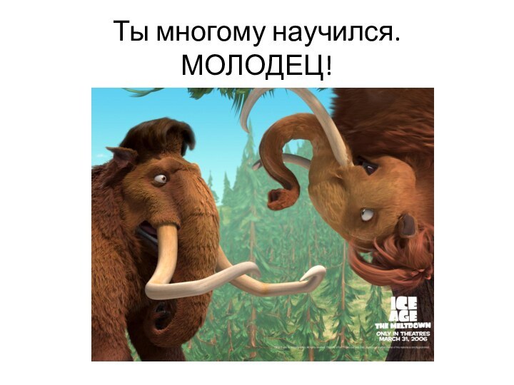 Ты многому научился. МОЛОДЕЦ!