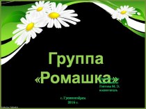 Презентация Группа Ромашка . Вторая младшая группа презентация к уроку (младшая группа)