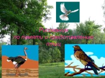 Презентация  Рисование птиц по памяти презентация к уроку по изобразительному искусству (изо, 4 класс)