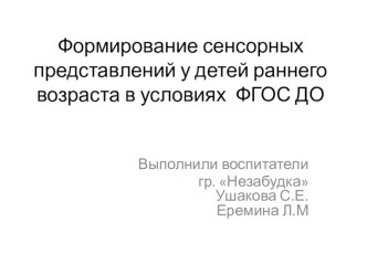 Формирование сенсорных представлений у детей раннего возраста в условиях ФГОС ДО презентация