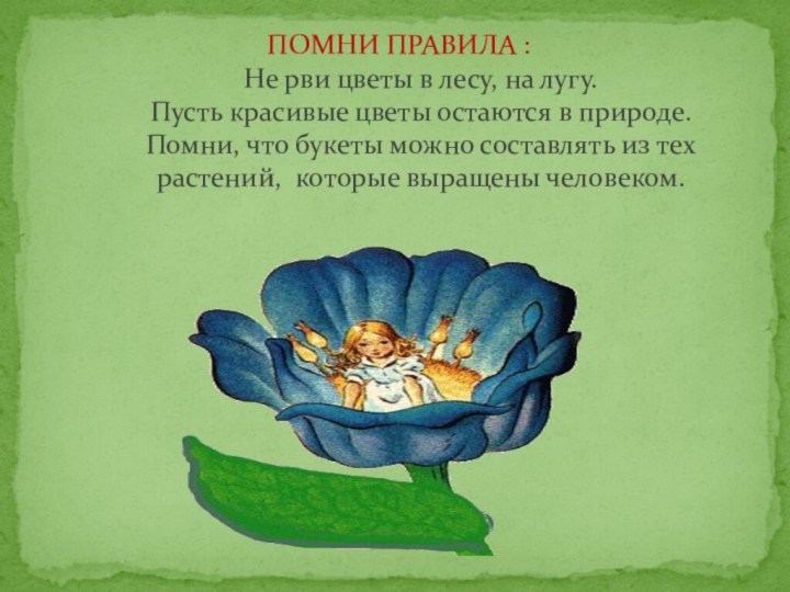 ПОМНИ ПРАВИЛА : Не рви цветы в лесу, на лугу. Пусть красивые