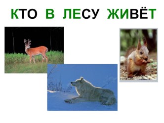 lesnye zhiteli