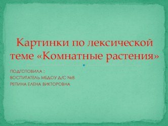 картинки по лексической теме Комнатные растения презентация к уроку по развитию речи (подготовительная группа)