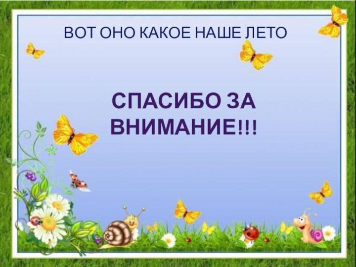 ВОТ ОНО КАКОЕ НАШЕ ЛЕТОСпасибо за внимание!!!