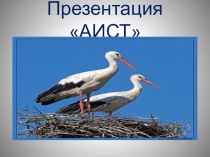 Презентация Аист проект (подготовительная группа)