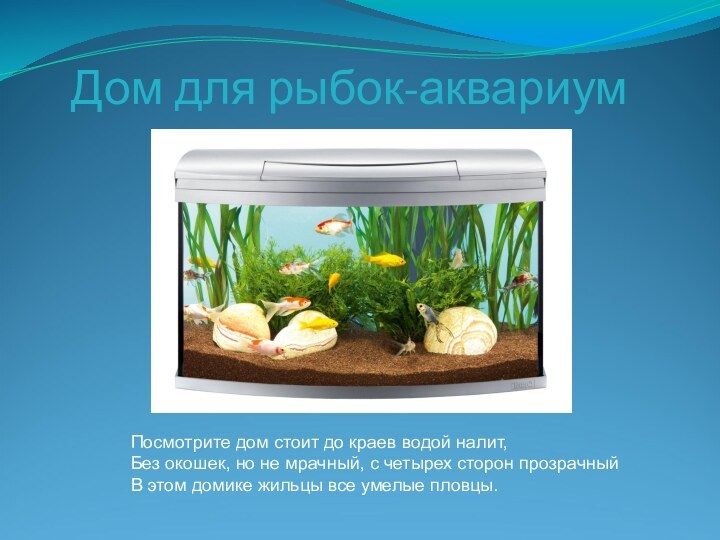 Дом для рыбок-аквариумПосмотрите дом стоит до краев водой налит,Без окошек, но не