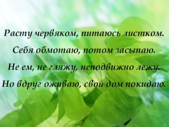 Конспект урока литературного чтения_2 класс_В.Берестов Честное гусеничное план-конспект урока по чтению (2 класс)