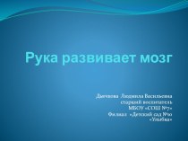 Презентация Рука развивает мозг презентация