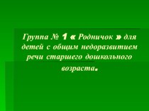 Преодоление общего недоразвития речи. Работа в группе с детьми старшего дошкольного возраста. презентация к уроку по логопедии (старшая группа)