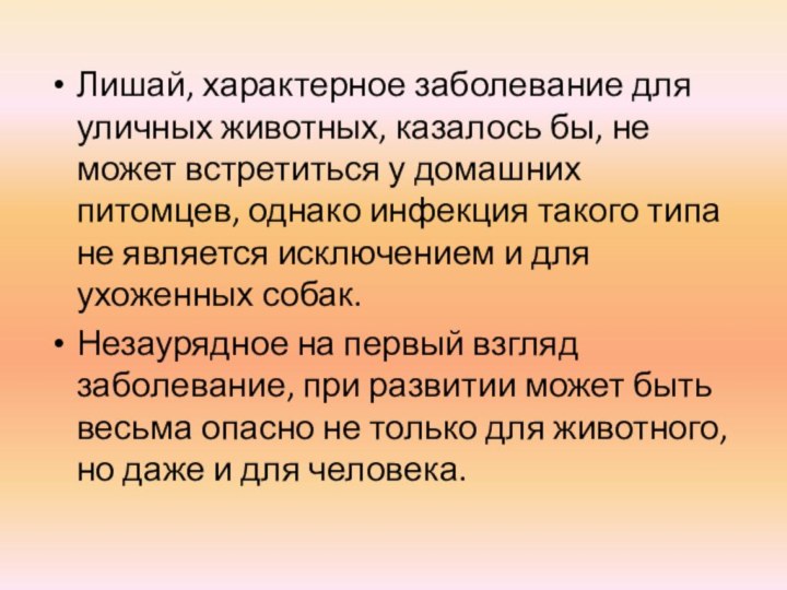 Лишай, характерное заболевание для уличных животных, казалось бы, не может встретиться у