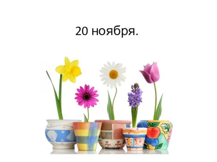 20 ноября.