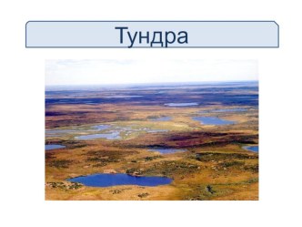 Тест Тундра тест по окружающему миру (3 класс) по теме