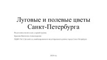 Перезентация Луговые цветы для старшего дошкольного возраста презентация к уроку по окружающему миру (старшая группа)