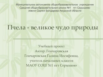 Исследовательская работа Пчела - великое чудо природы презентация к уроку (окружающий мир, 3 класс) по теме