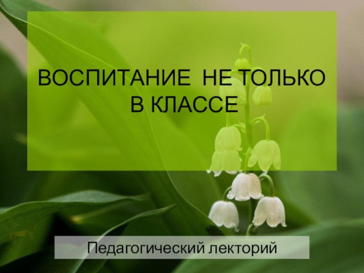 ВОСПИТАНИЕ НЕ ТОЛЬКО  В КЛАССЕПедагогический лекторий