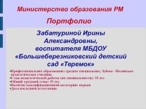 Портфолио документов на аттестацию 2019 год презентация