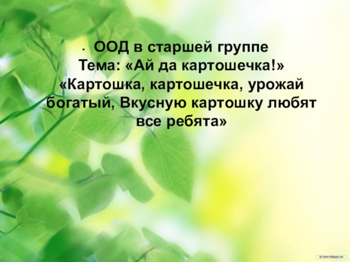 ООД в старшей группе Тема: «Ай да картошечка!» «Картошка, картошечка, урожай богатый,